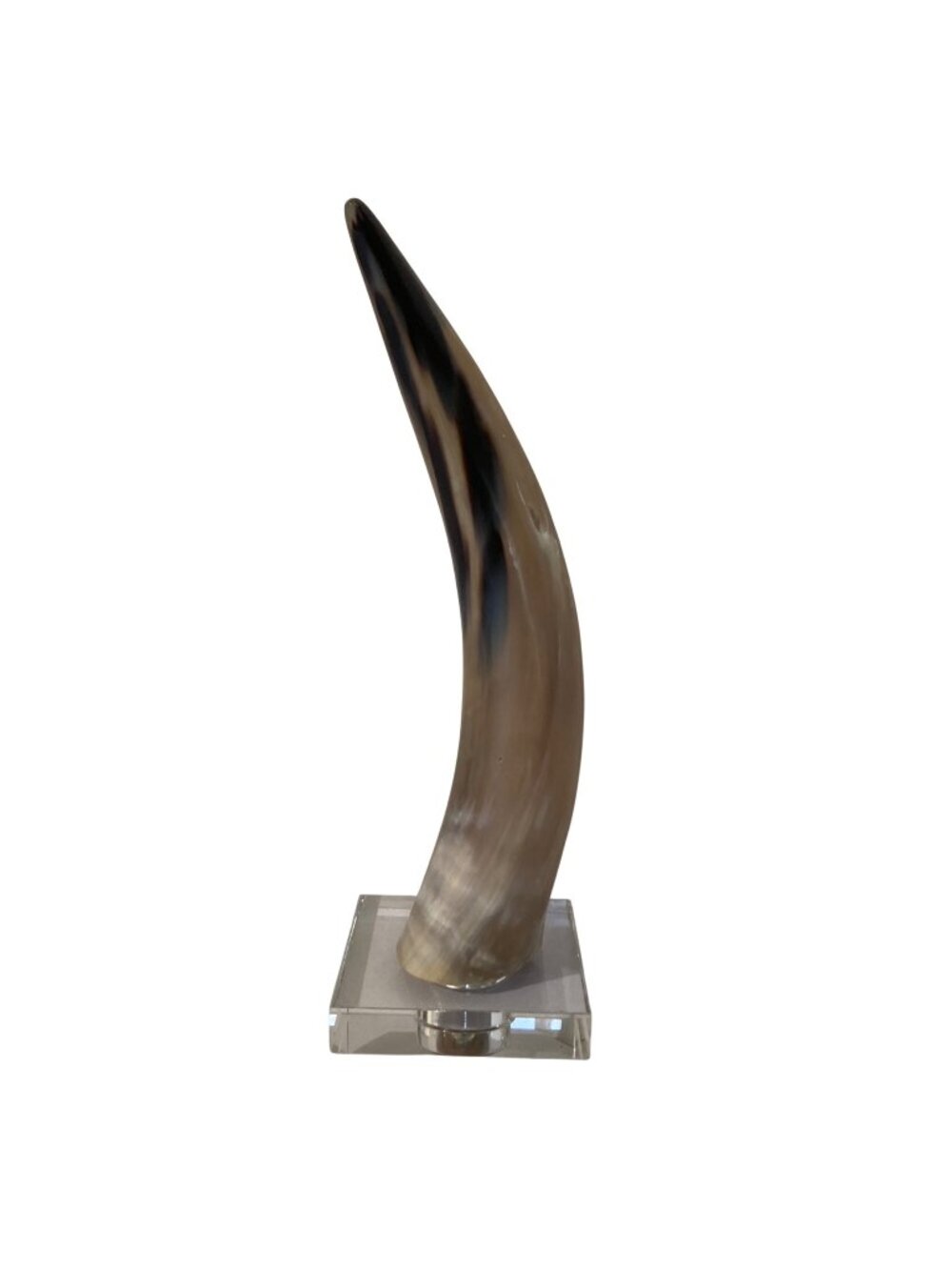 Natural Bull Cow Steer Horn Rustic Western Décor 16" Polished On Glass Base